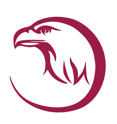 The Eagle Learning Institute Eagle Logo